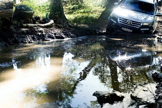 Lakes District 4x4 Full-Day Tour with Lunch from Ushuaia - Why this is one of Ushuaia’s better day trips