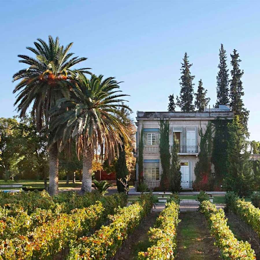Luigi Bosca Winery Tour with Wine Tasting and Lunch - Walking through the Arizu family estate