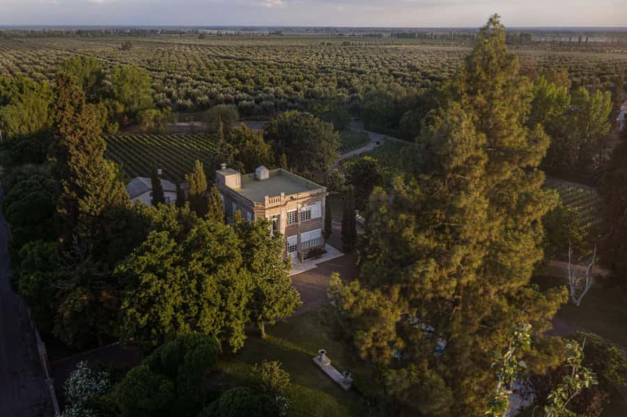 Luigi Bosca Winery Tour with Wine Tasting and Lunch - The ride from Mendoza to Maipú