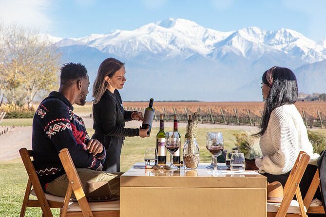Lujan Deluxe - Full day - Premium Wine Tour with Gourmet Lunch - The essentials at a glance