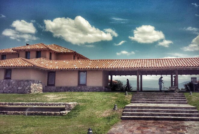 Lujan Deluxe - Full day - Premium Wine Tour with Gourmet Lunch - Private, small group, or something in between?
