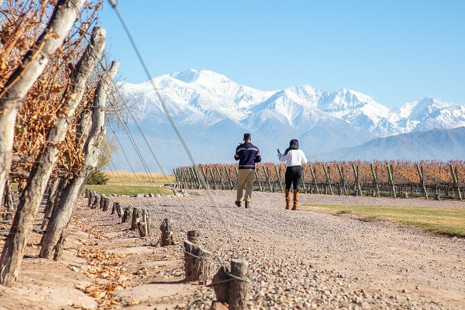 Lujan Deluxe - Full day - Premium Wine Tour with Gourmet Lunch - Caelum: a family project with pistachios
