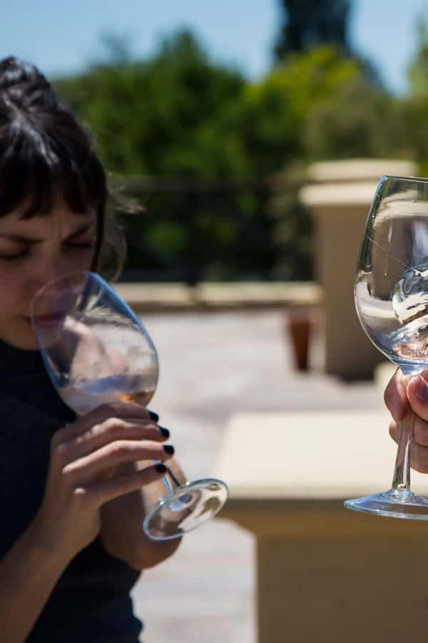 Luxury Wine Tasting in Uco Valley/ Boutique Wineries & Asado - What the $254 price really covers
