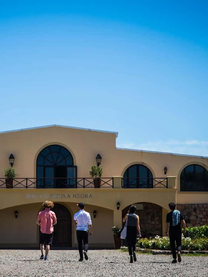 Luxury Wine Tasting in Uco Valley/ Boutique Wineries & Asado - Languages, flexibility, and cancellation