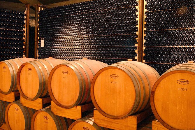 Malbec Experience in Bodega Tierras Altas - Starting among the vines beside the winery