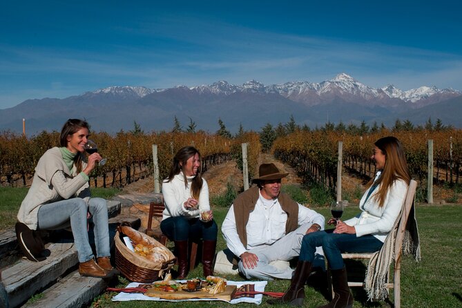 Malbec & Mountain Uco Valley Private Wine Tour with Gourmet Lunch - Key Points Before You Book