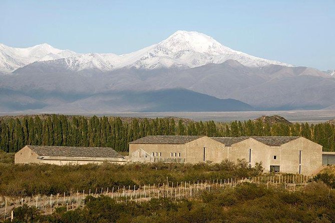 Malbec & Mountain Uco Valley Private Wine Tour with Gourmet Lunch - The Private Guide and Vehicle Difference