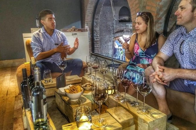 Malbec & Mountain Uco Valley Private Wine Tour with Gourmet Lunch - Who Will Enjoy This Day Most