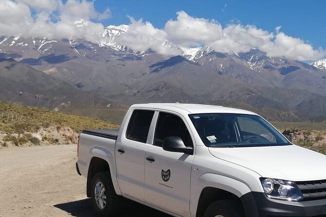 Malbec & Mountain Uco Valley Private Wine Tour with Gourmet Lunch - From Mendoza City to Potrerillos Dam