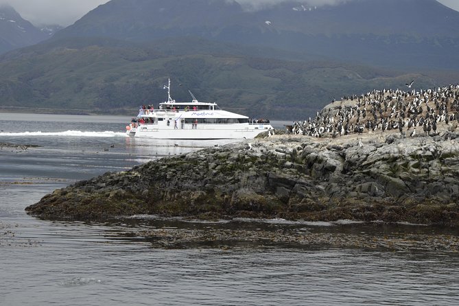 Martillo Island: Boat Trip to the Penguin Colony & Beagle Channel - Language, group size, and comfort
