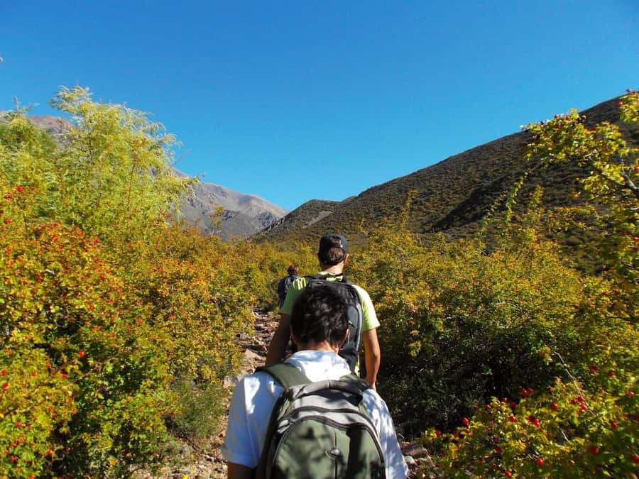 Mendoza: 4-Hour Mountain Trekking With Lunch - The trail to Cerro Calavera at 2,212 meters