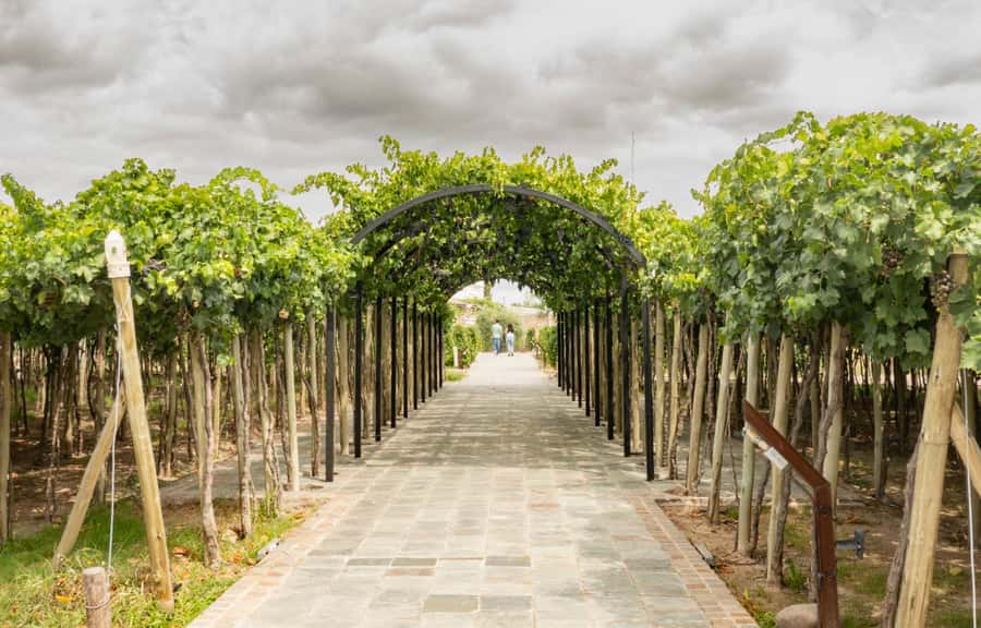Mendoza: El Enemigo and Casa Vigil Wine Tour - Arrival at Casa Vigil and El Enemigo