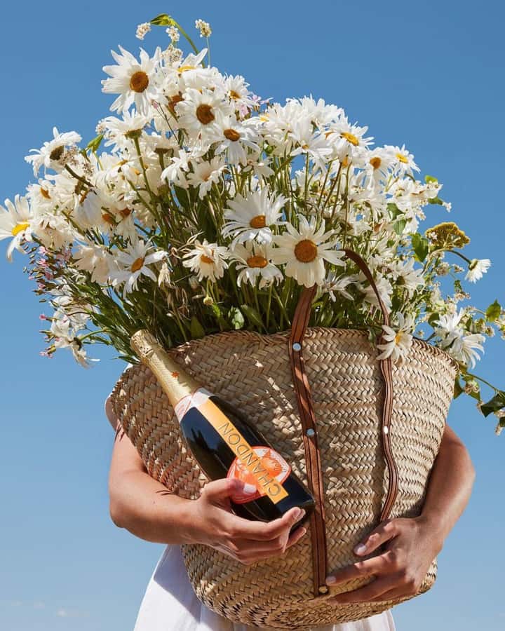Mendoza Essentials - 3 Days All Inclusive Experiences - Why this three-day plan works in Mendoza
