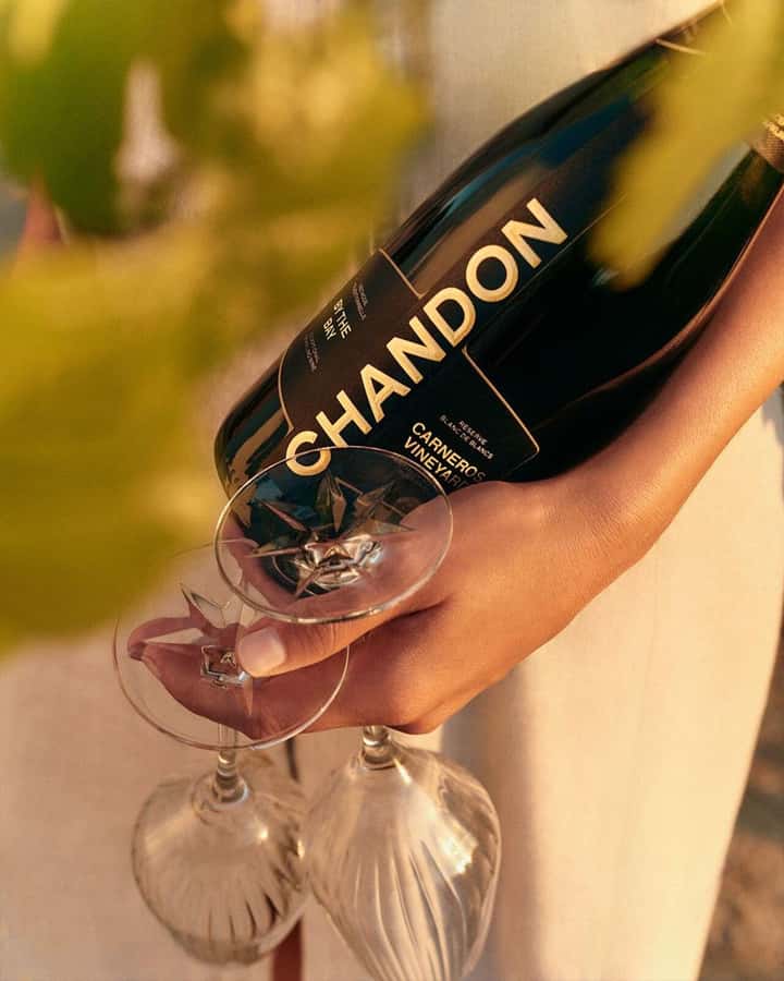 Mendoza Essentials - 5 Days All Inclusive Experiences - Day 4: Uco Valley and Bodega Salentein
