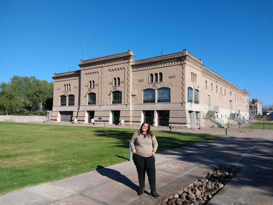 Mendoza: Full Day Wine Tour with 3 Course Lunch - Why Mendoza wine country is worth your time