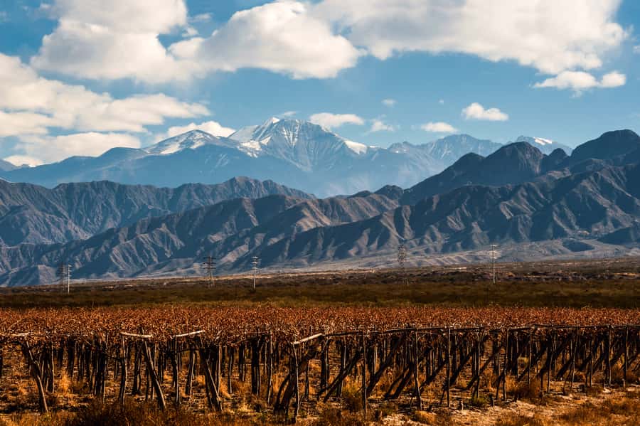 Mendoza: Full Day Wine Tour with 3 Course Lunch - The drive from Mendoza City