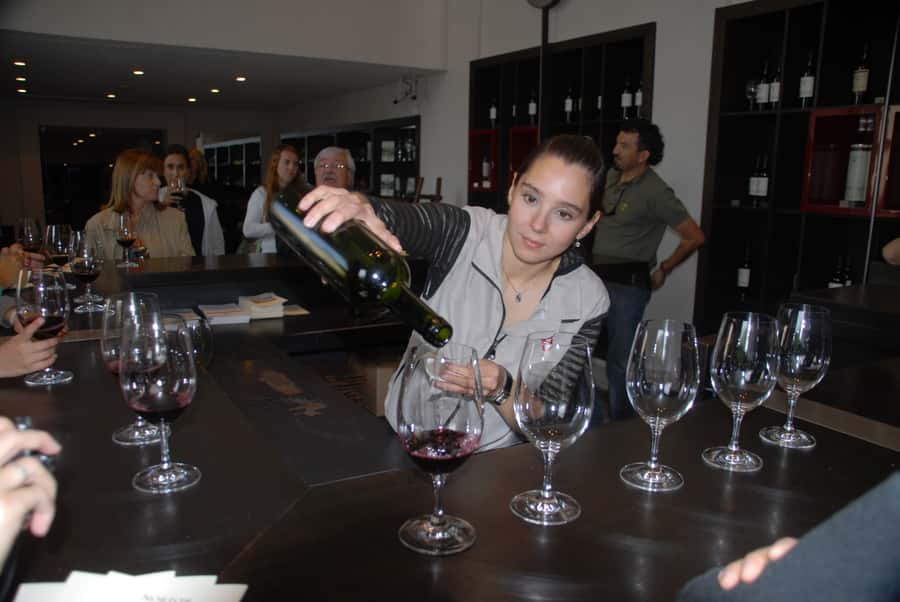 Mendoza: Full Day Wine Tour with 3 Course Lunch - What happens at the two wineries