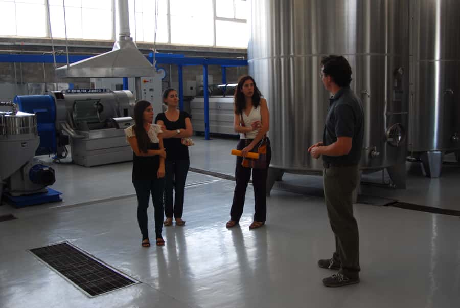Mendoza: Full Day Wine Tour with 3 Course Lunch - The biggest value question: $153 per person