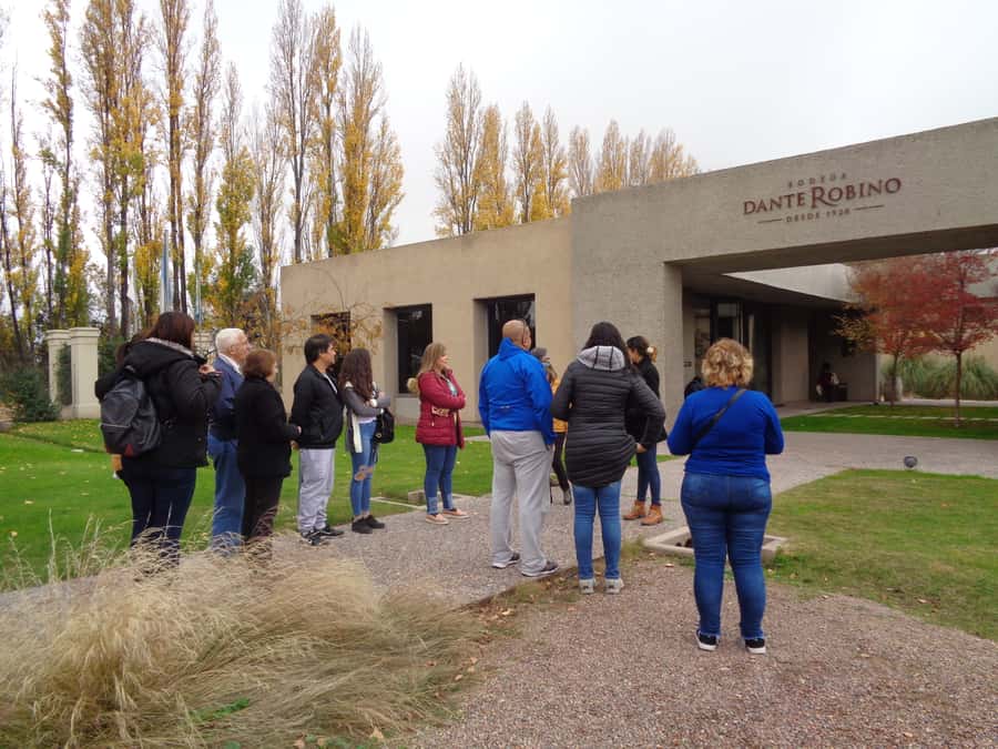 Mendoza: Half-Day Wine Tour with Tastings - Key points at a glance