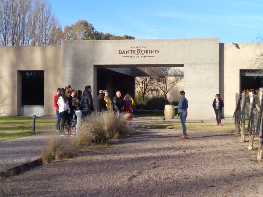 Mendoza: Half-Day Wine Tour with Tastings - Why Mendoza’s wine country begins with irrigation
