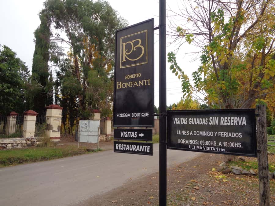 Mendoza: Half-Day Wine Tour with Tastings - Transport keeps the day easy