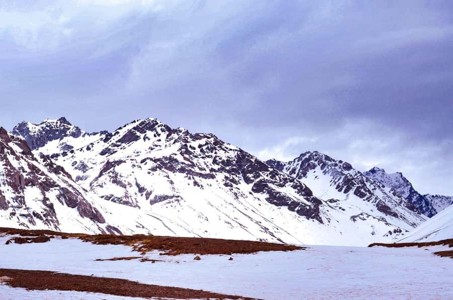 Mendoza: High Mountain Experience, a Tour through the Andes - Lunch, timing, and the long ride home