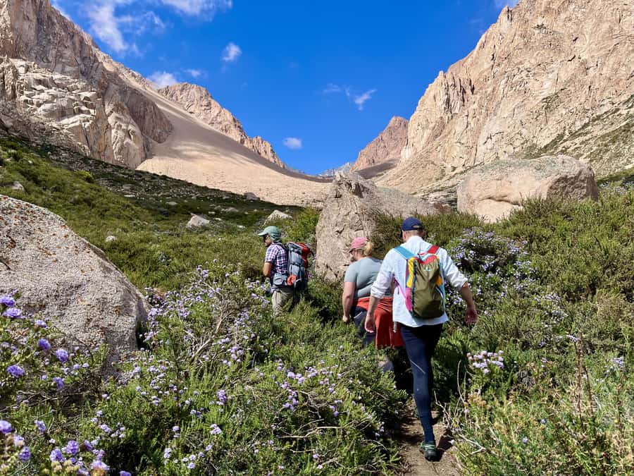 Mendoza: Hiking, Meditation & Yoga in the Andes with Lunch - The 80-minute ride into the mountains