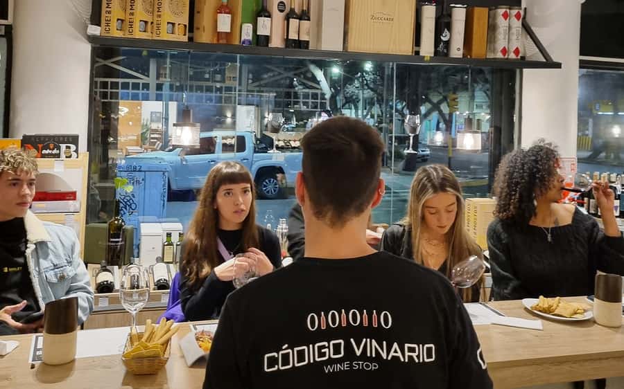 Mendoza: Premium Wine Tasting - Key points at a glance