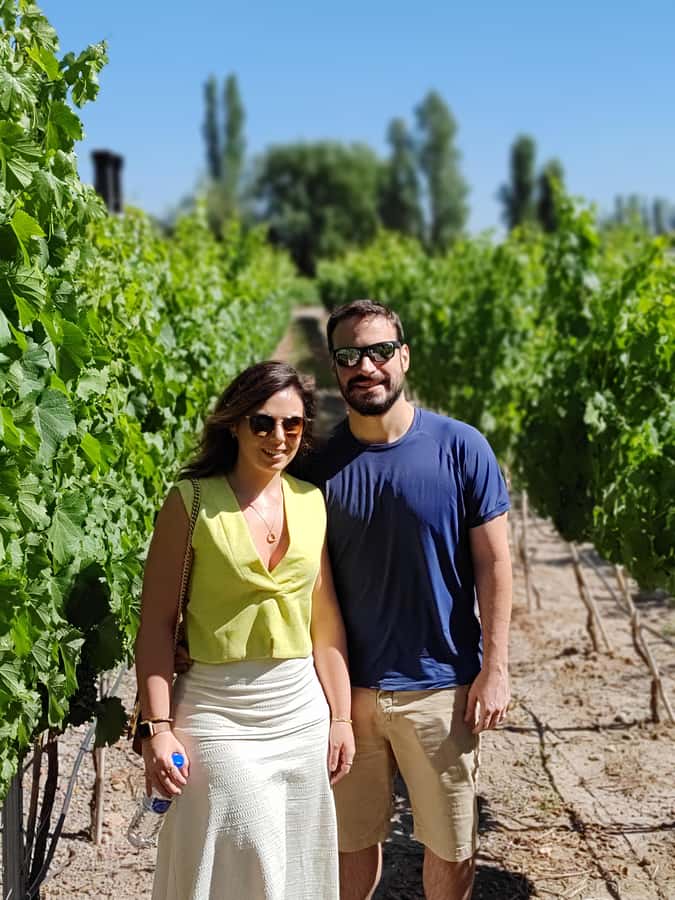 Mendoza's top wineries ! All Inclusive Private Tours! - Why a private Mendoza wine day makes sense