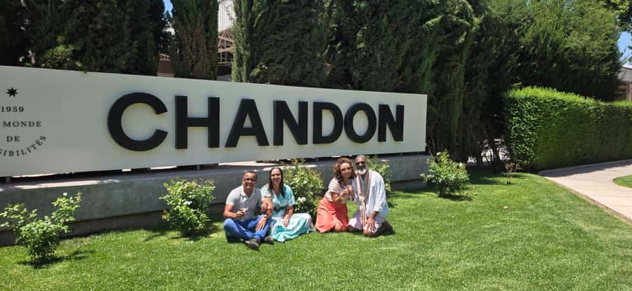 Mendoza's top wineries ! All Inclusive Private Tours! - What the driver adds to the experience
