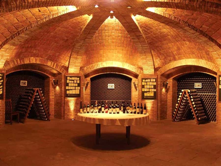 Mendoza: Small-Group Wineries Tour with Tasting and Lunch - Why this Mendoza wine day is more than a tasting