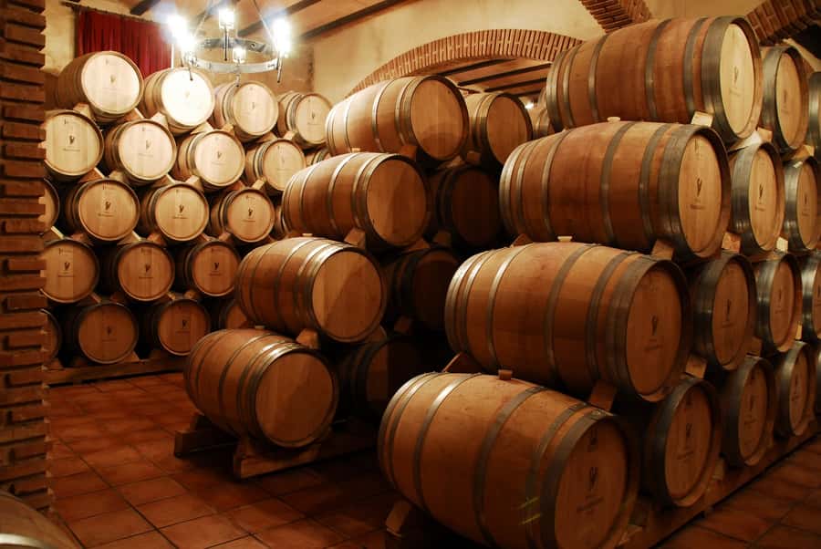 Mendoza: Small-Group Wineries Tour with Tasting and Lunch - At the first winery, old methods meet new technology