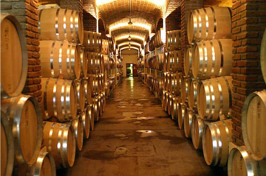 Mendoza: Small-Group Wineries Tour with Tasting and Lunch - The best parts, and the limits