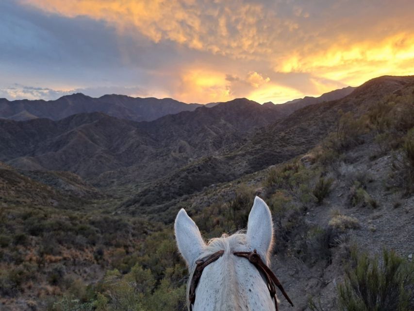 Mendoza: Sunset Horse Back Riding in the Mountains and BBQ - What the riding feels like for beginners