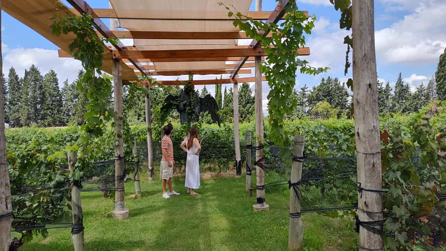 Mendoza: Top Wineries Guided Tour with Transportation - Key points at a glance
