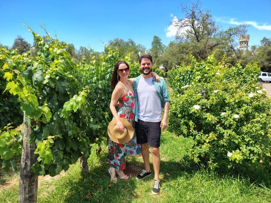 Mendoza: Top Wineries Guided Tour with Transportation - Luján de Cuyo or Uco Valley?