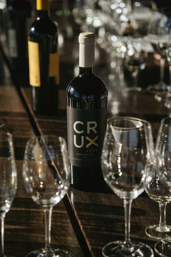 Mendoza: Tour with tasting and lunch High Altitude Wineries - Languages, access, and who should book