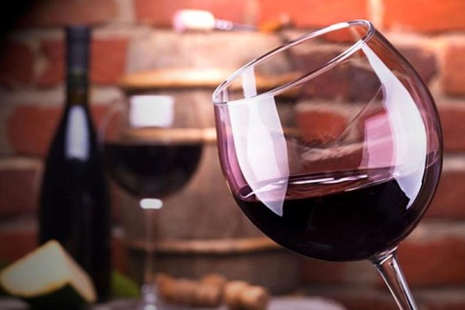 Mendoza Wine Route A Full Day Private Excursion - Key points at a glance
