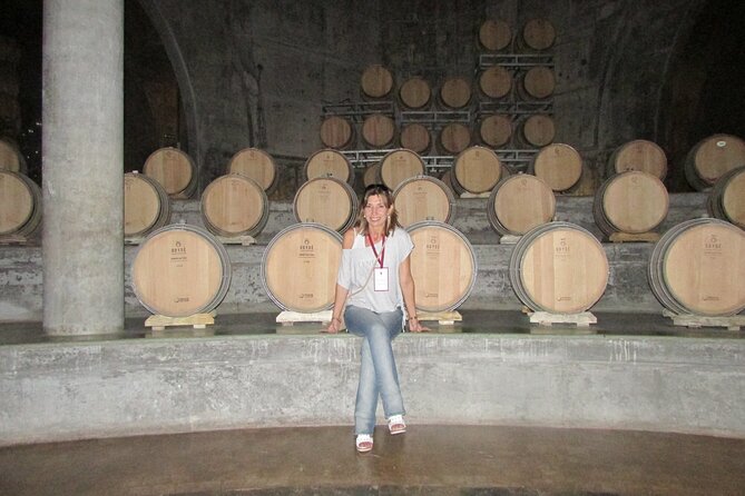 Mendoza Wine Route A Full Day Private Excursion - Why this Mendoza day trip works from Buenos Aires