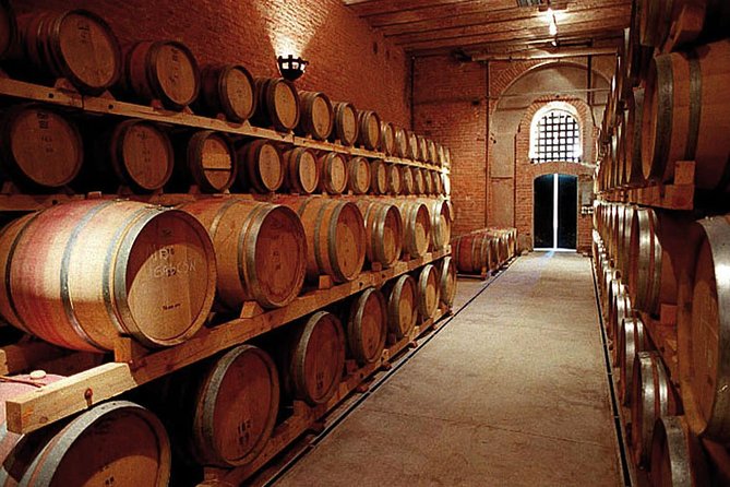 Mendoza Wine Route A Full Day Private Excursion - Santa Augusta and the olive oil stop