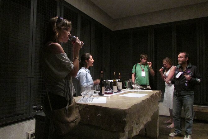Mendoza Wine Route A Full Day Private Excursion - What the private driver and guides add