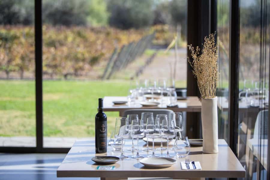 Mendoza: Wine Tasting Tour with Lunch and Private Transport - The Mendoza wine day in five useful points