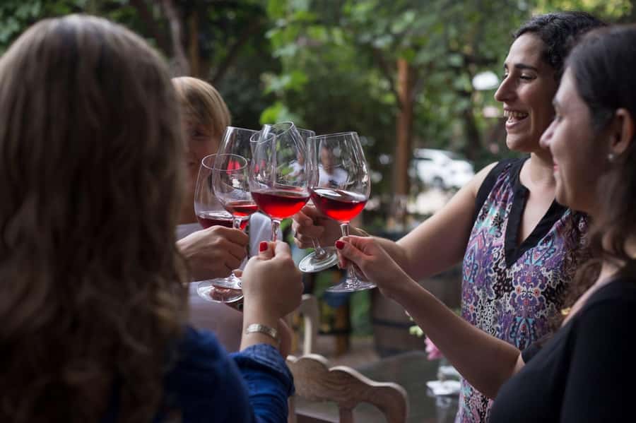 Mendoza: Wine Tasting Tour with Lunch and Private Transport - Who should book this Mendoza wine tour?