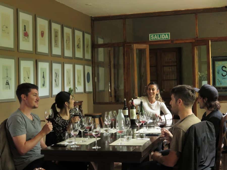 Mendoza: Wine Tasting Tour with Lunch and Private Transport - Why this tour works well in Mendoza