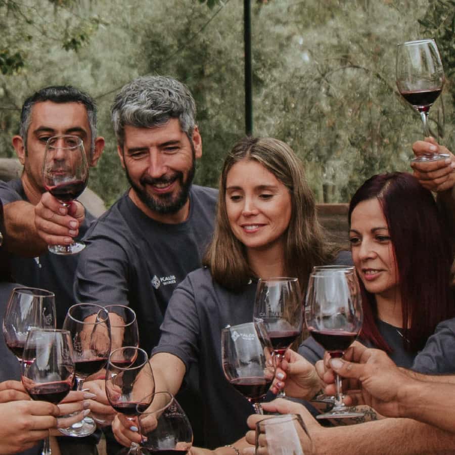 Mendoza: Wine Tasting Tour with Lunch and Private Transport - First winery: a guided introduction, not just a tasting