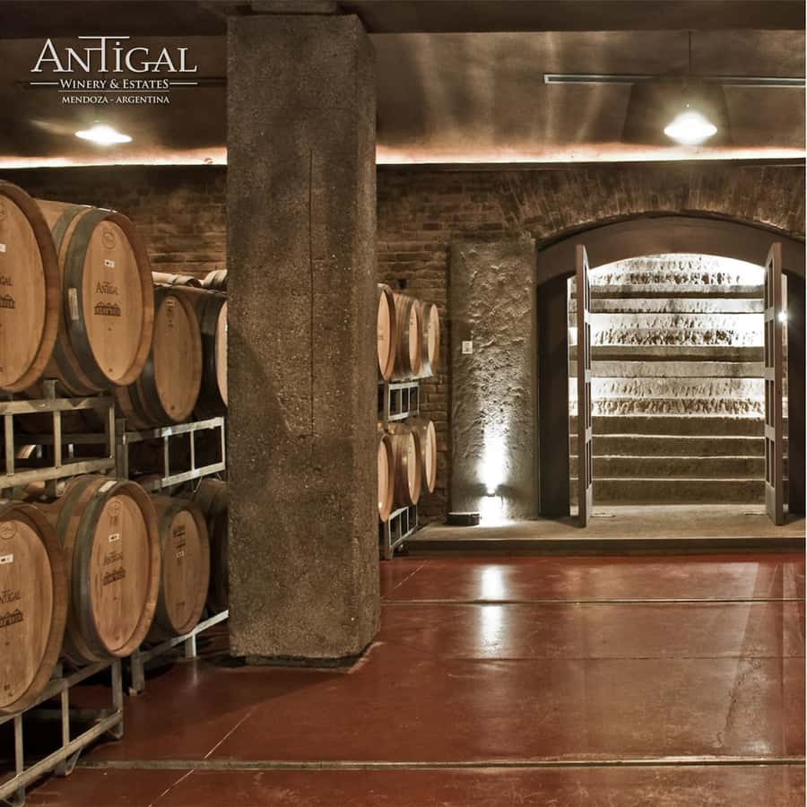 Mendoza: Wine Tasting Tour with Lunch and Private Transport - Lunch at a winery: the longest and most important stop