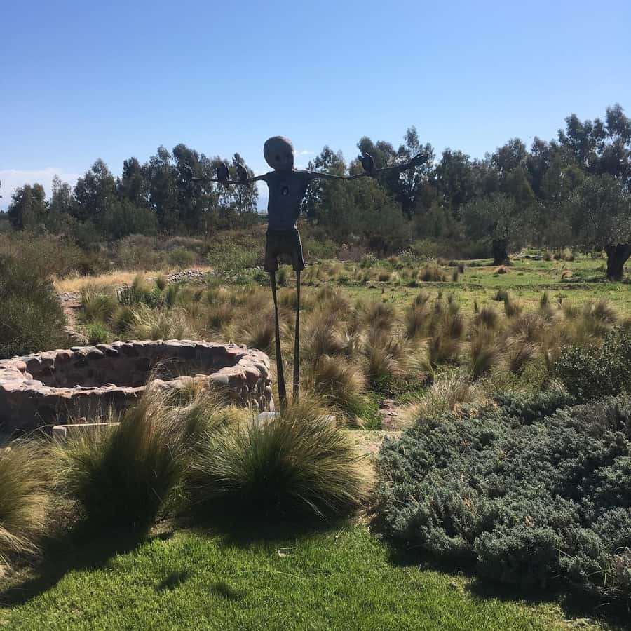 Mendoza: Wine Tasting Tour with Lunch and Private Transport - Is $220 per person good value?