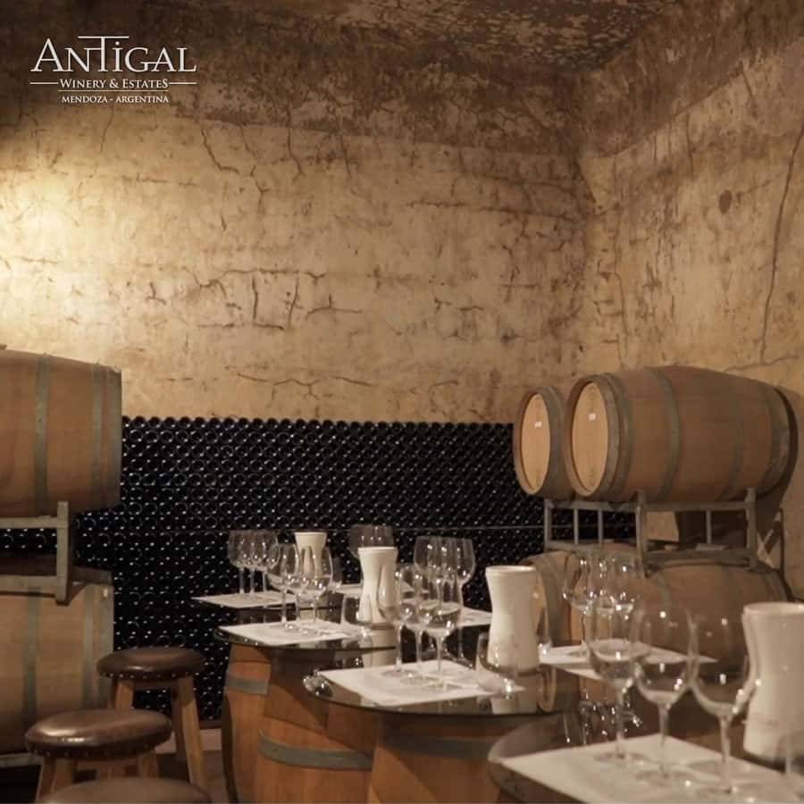 Mendoza: Wine Tasting Tour with Lunch and Private Transport - Your private pickup and the road into wine country