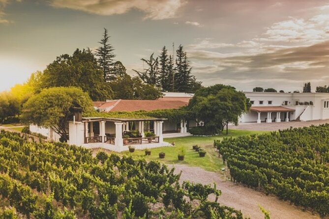 Mendoza Wine Tour with Lunch - Key points before you book