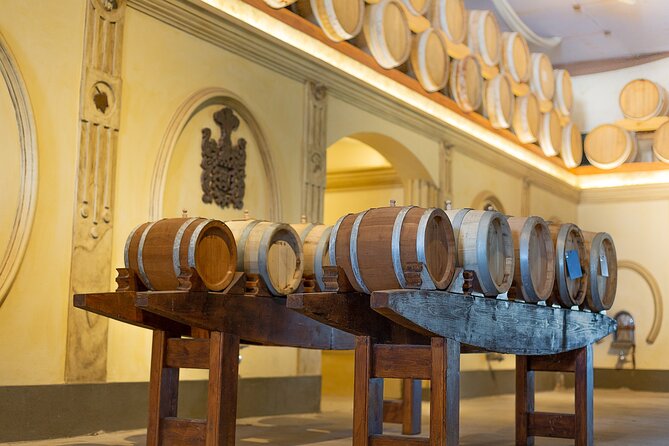 Mendoza Wine Tour with Lunch - From Mendoza to Malbec country